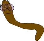 Computer worm virus Computer worm virus